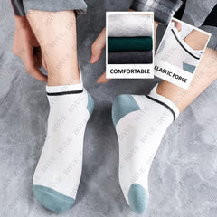 Primium Ankle Length Cotton Socks Unisex – Pack of 7