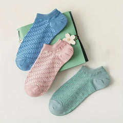 Women & Girls Ankle Length Socks